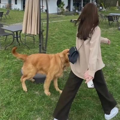 少年说